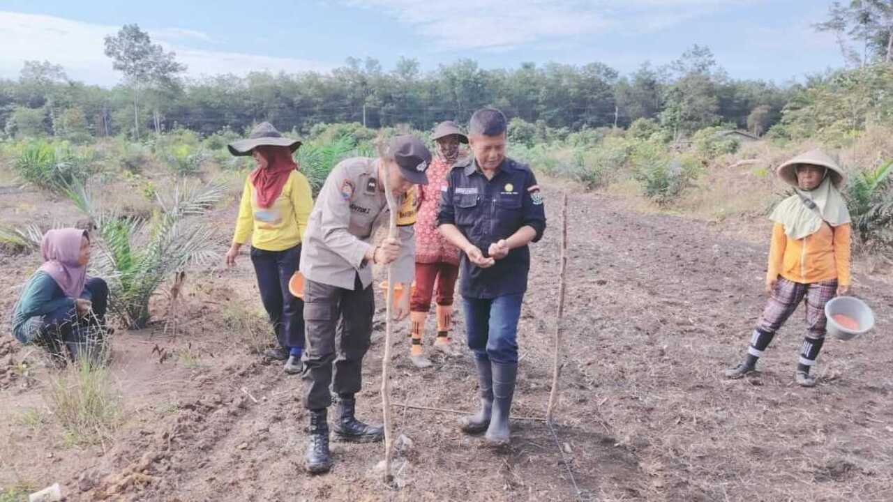 Dukung Program Ketahanan Pangan, Polsek Gelumbang Tanam Jagung