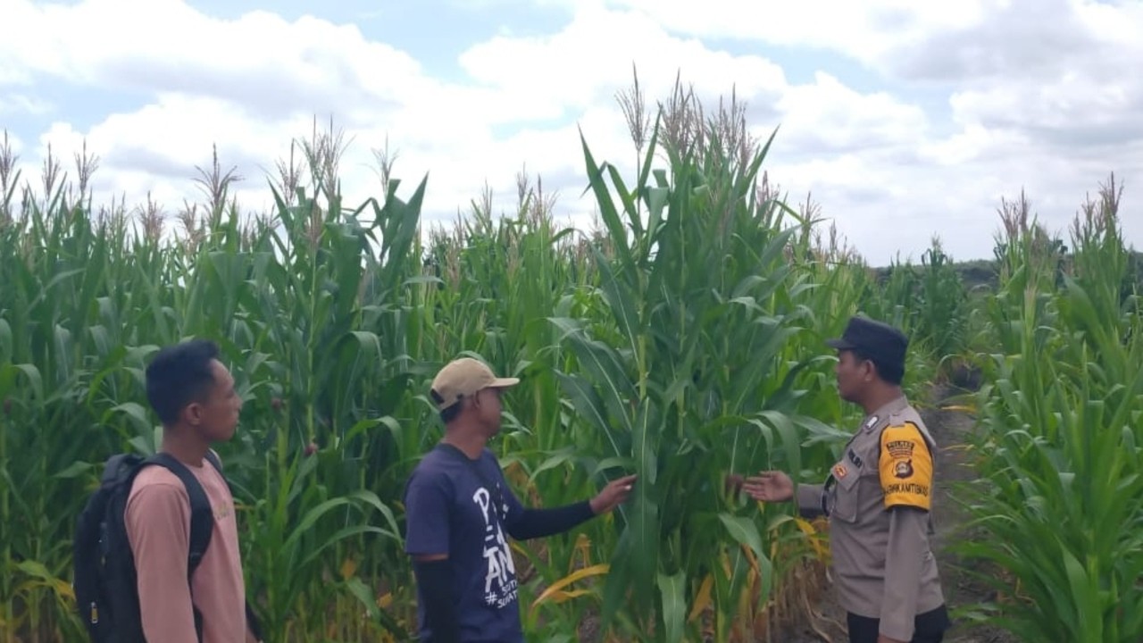 Dorong Pemanfaatan Lahan Produktif