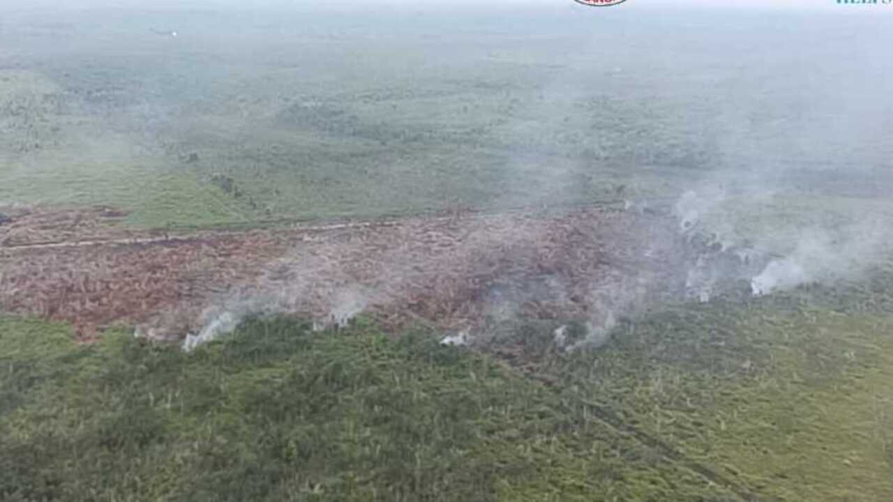 Kebakaran Lahan di Pangkalan Lampam dan Tulung Selapan Masih Menyisahkan Asap Mesih Kondisi Hujan