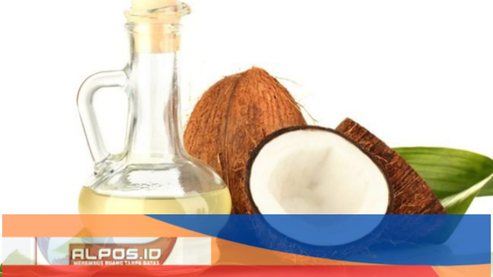 Pernah Dengar Minyak Kelapa? Dipercaya Sebagai Obat Antiinflamasi dan Penyembuhan Gatal Kulit yang Terbukti Ma