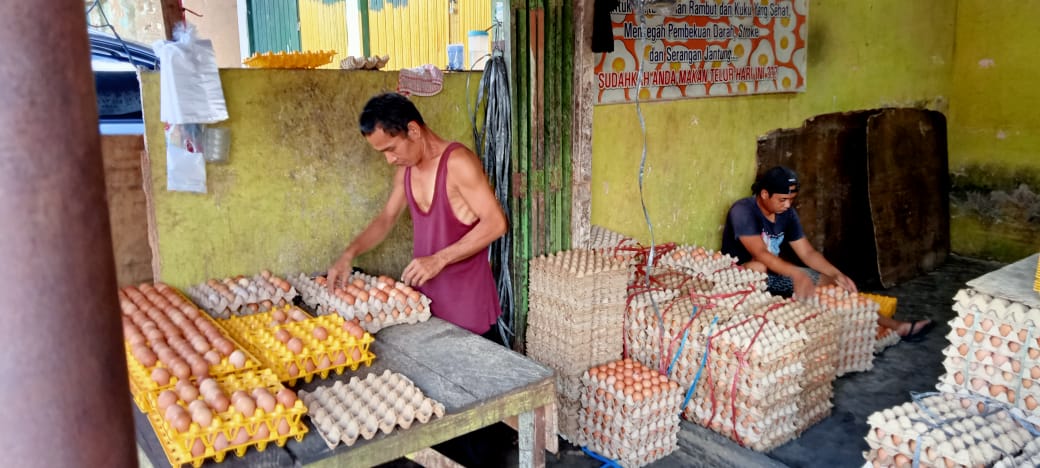 Harga Telur Ayam Ras di Lubuklinggau Rp54 Ribu Perkarpet 