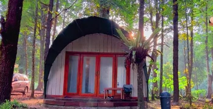 Hero Forest Ciwidey Glamping: Pengalaman Luar Biasa di Tengah Hutan Bandung