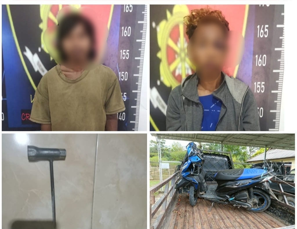 Bersembunyi Dalam Rawa, Dua Pelaku Pencuri Motor Ditangkap