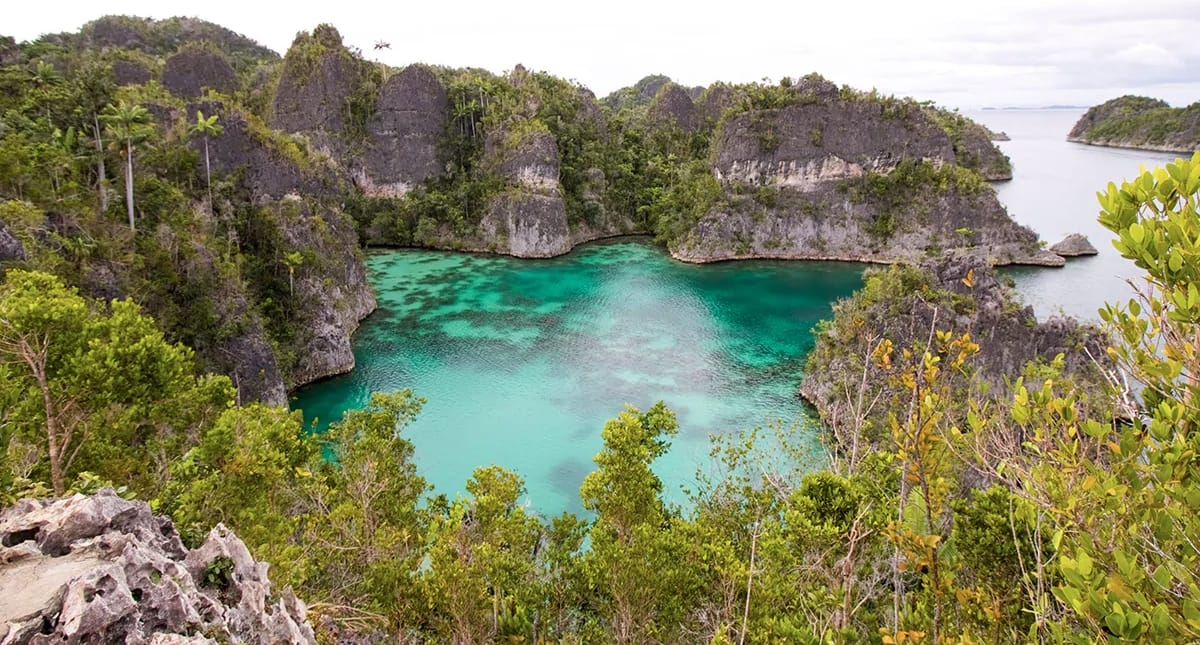 Telaga Bintang di Raja Ampat, Papua Barat, Meraih Sorotan Internasional dengan Keindahan Tak Tertandingi