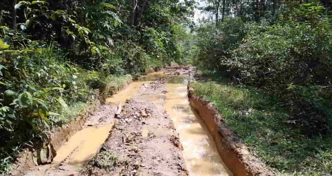 Miris! Puluhan Tahun Jalan Penghubung Desa Tanjung Beringin Tak Tersentuh Pembangunan, Begini Kondisinya...