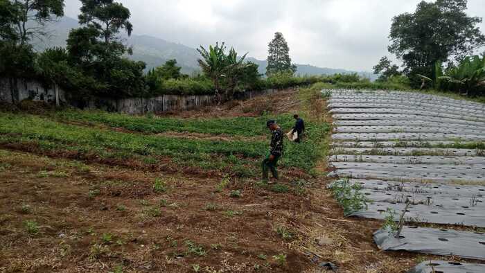 Minim Sumber Air, BBI Aur Duri Minta Dibuatkan Sumur Bor