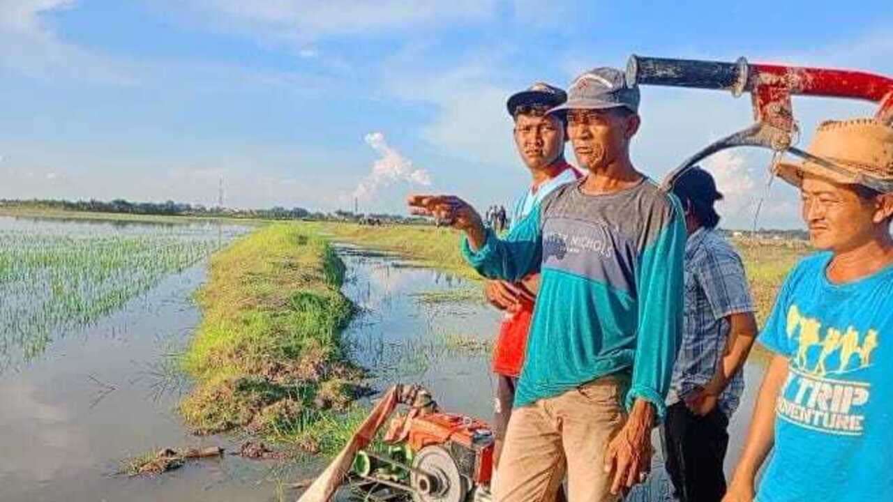 Sawah di Ogan Ilir Terendam Banjir, Petani Pasrah dan Harapkan Bantuan Pemerintah