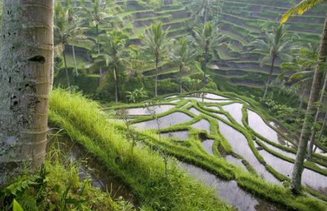 Sembilan Desa Indah Di Indonesia Yang Wajib Kamu Kunjungi