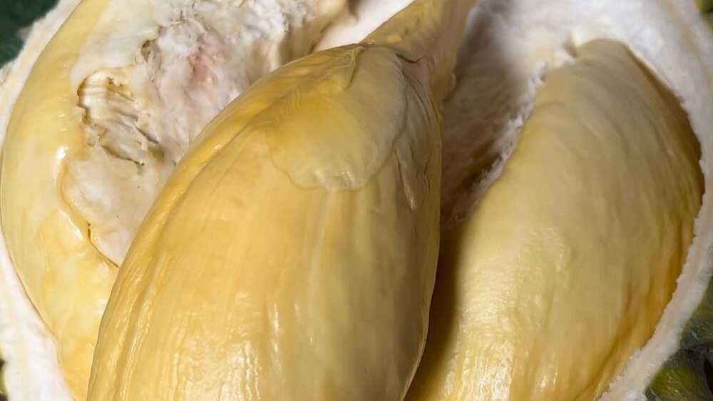  Mengenali Tanda-Tanda Alergi Durian pada Anak-Anak: Langkah Kunci untuk Menjaga Kesehatan Mereka