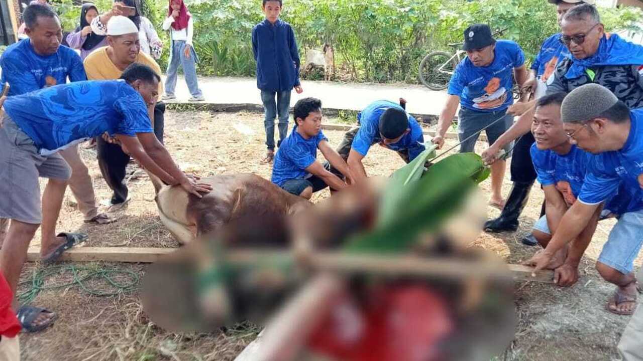 Idul Adha 2025 Serentak pada Jumat, 6 Juni: Pemerintah, Muhammadiyah, NU dan Arab Saudi Sepakat