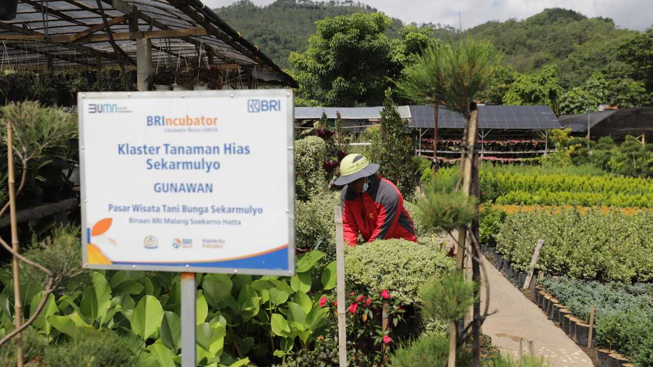 Terbesar di Indonesia, Portofolio Sustainable Finance BRI Tembus Rp796 Triliun