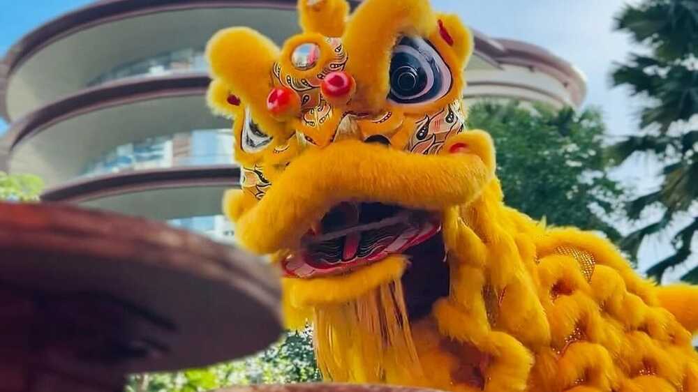 Barongsai: Memancarkan Makna Simbolis dalam Budaya Tionghoa