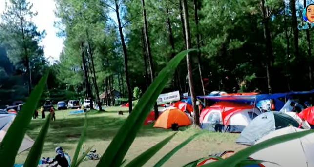 Wana Wisata Winong, Unik Karena Pengunjung Boleh Bayar Seikhlasnya Glamping Seru Ditengah Alam Pegunungan