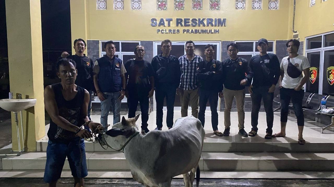 Curi Belasan Sapi di Prabumulih, Seorang Sindikat Spesialis Pencurian Sapi Lintas Kota Ditangkap Tim Resmob