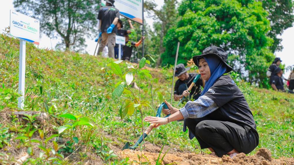 Pulihkan Hutan Bekas Tambang, Aksi Nyata Kelompok Tani Selamatkan Lingkungan Bersama BRI Menanam-Grow Green