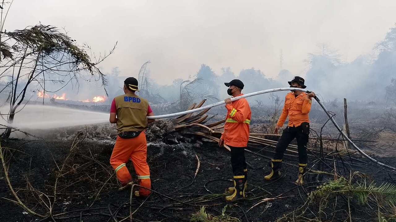 Karhutla Terjadi di 5 Titik Muba, Total 11,5 Hektare Lahan Terbakar