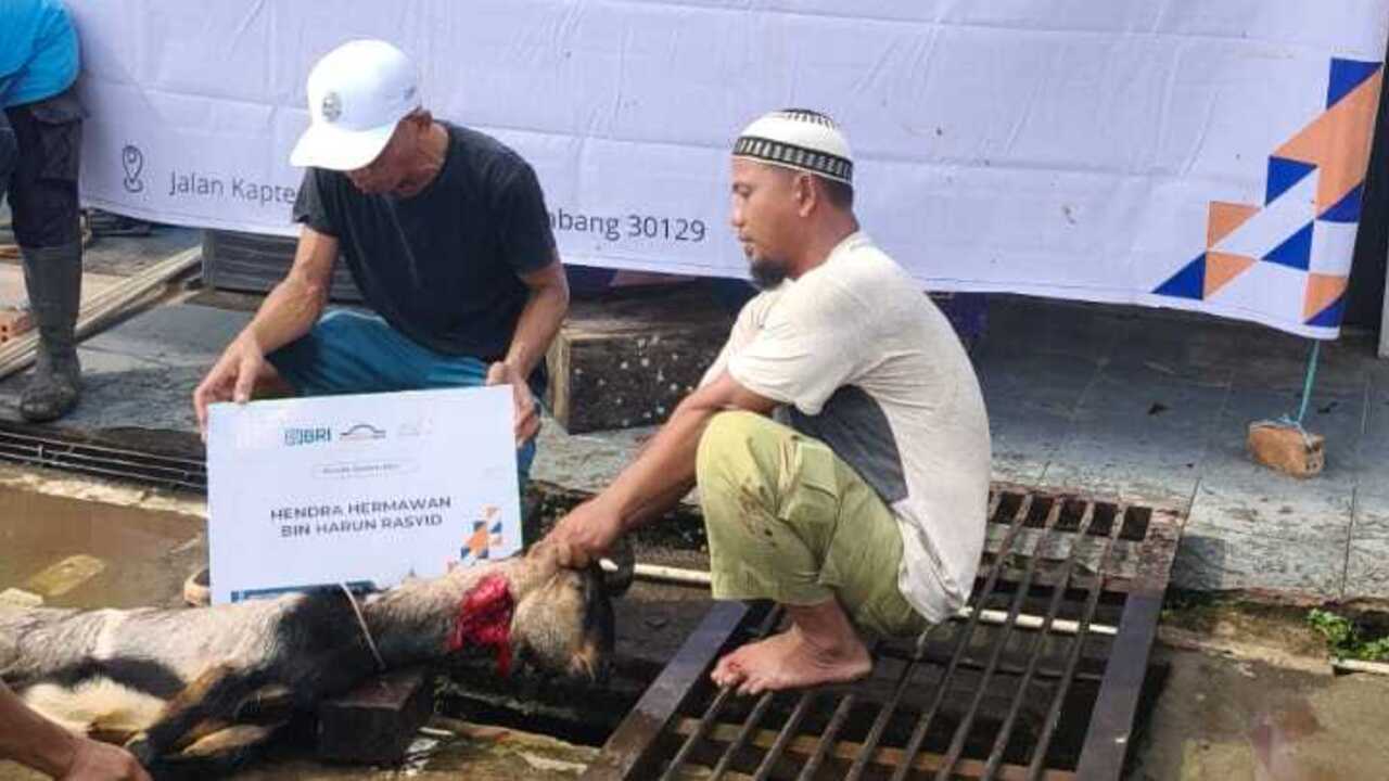 BRI RO Palembang melalui Bapekis salurkan hewan kurban untuk masyarakat sekitar