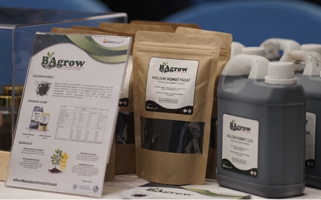 Inovasi PTBA Dukung Swasembada Pangan, Ubah “Si Hitam” Jadi “Hijau”