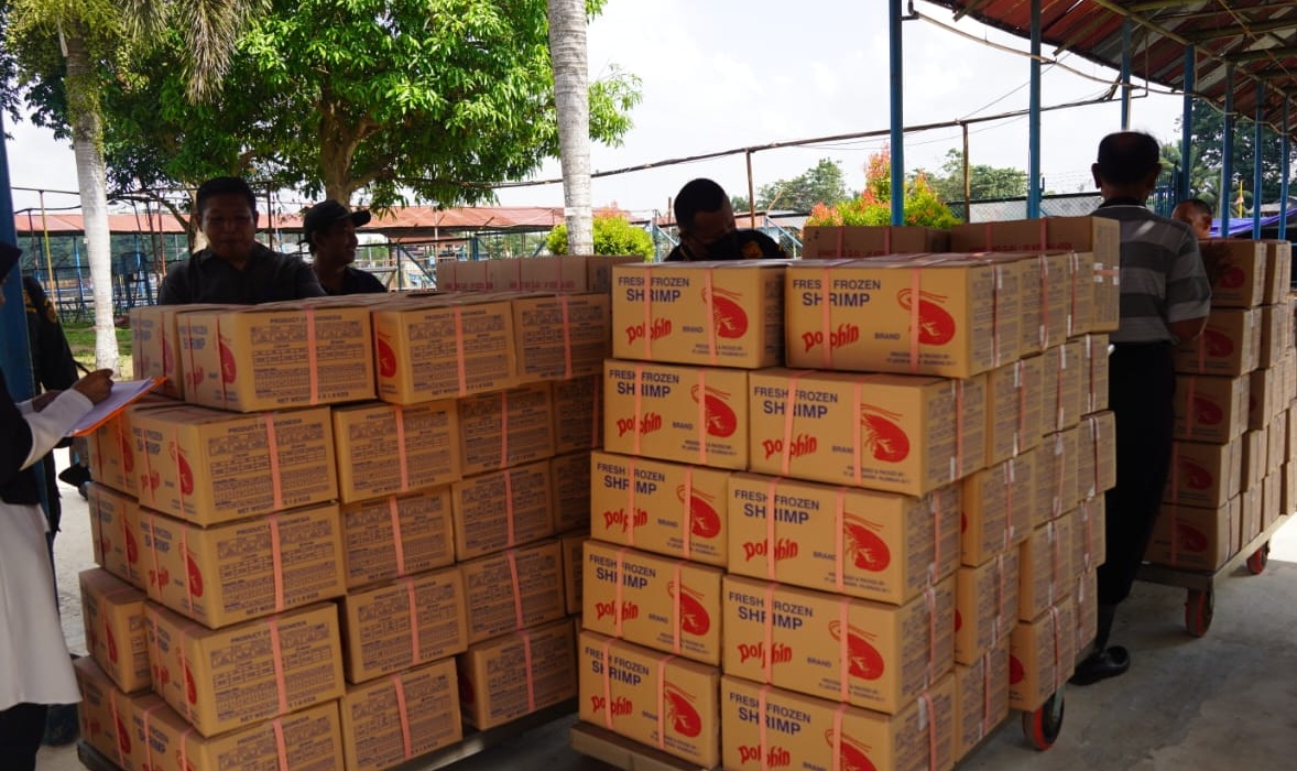Balai Karantina Sumsel Sertifikasi 11 Ton Udang Black Tiger Senilai Rp2 Miliar untuk Diekspor ke Jepang