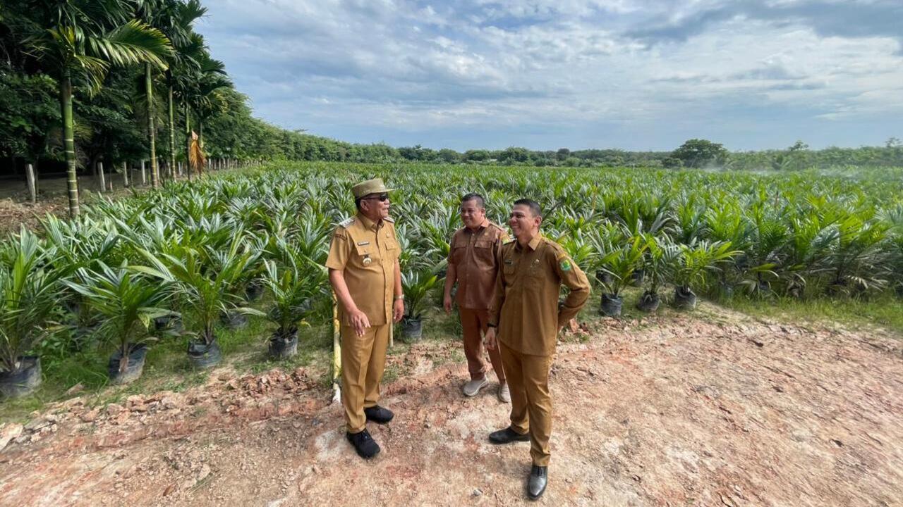 Hidupkan Semangat Petani Lewat Pembibitan Unggul