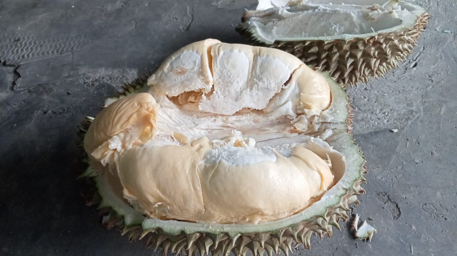 Jangan Dibuang! Biji Durian Ternyata Dapat Mencegah Disfungsi Ereksi, Begini Caranya! 