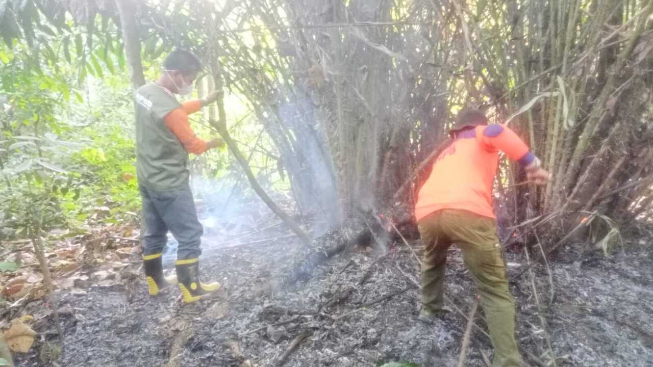 BPBD OKU Padamkan Karhutla di Lima Titik Hotspot
