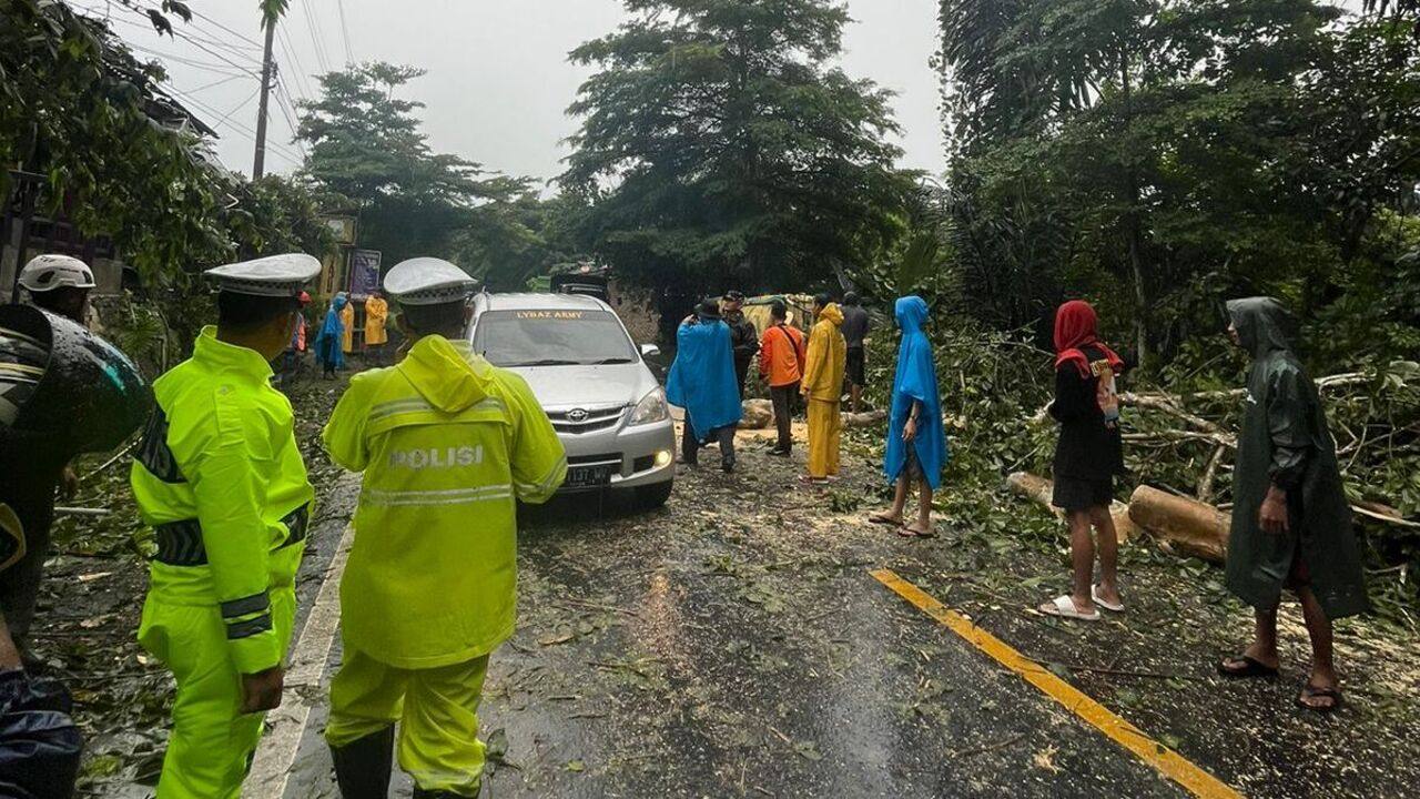 BPBD OKU Bersihkan Material Pohon Tumbang di Jalinsum