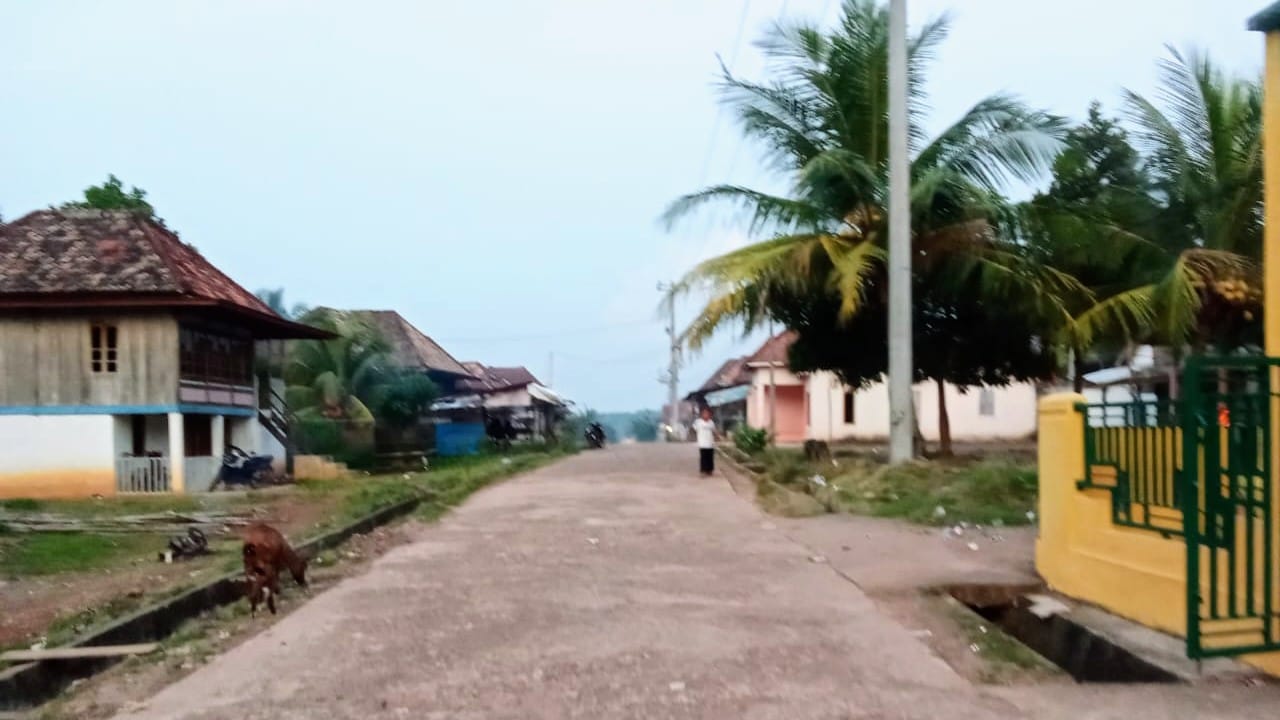 Blank Spot Warga Sukaraja Kesulitan Komunikasi Keluar Desa