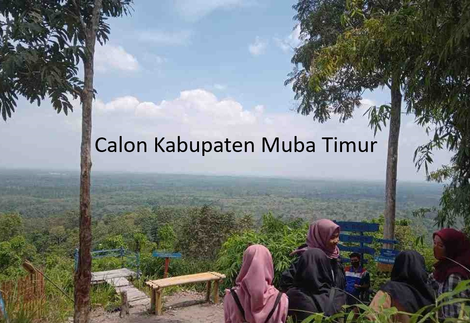 Pemekaran Kabupaten Muba Timur dari Musi Banyuasin: Menanti Era Baru di Sumatera Selatan