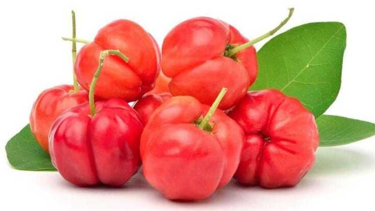 Acerola Cherry : Kecil Buahnya Besar Manfaatnya, Bisa untuk Mengencangkan Kulit