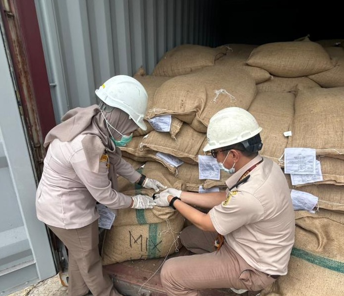 Sertifikasi Kopi Robusta Pagaralam: Balai Karantina Sumsel Jamin Aman Masuk Pasar Australia