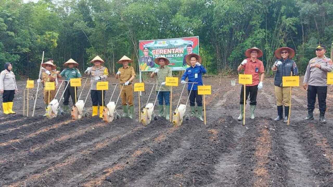 Dukung Swasembada Pangan Kapolres dan PJ Wako Prabumulih Pimpin Penanaman Jagung Seluas 9,75 Hektar