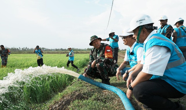 Dukung Pengembangan Pertanian di Merauke, PLN Listriki Area Sawah Garapan Kementan-TNI