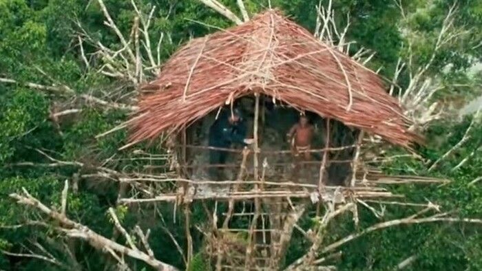 Mengenal Suku Korowai di Pedalaman Papua, Dijuluki Manusia Pohon hingga Suku Kanibal 