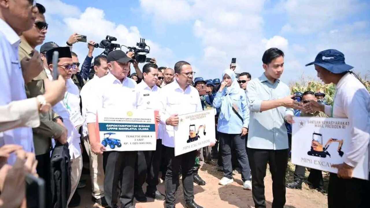 Banyuasin Lumbung Pangan Indonesia : Askolani Panen Raya Jagung Bersama Wapres Gibran