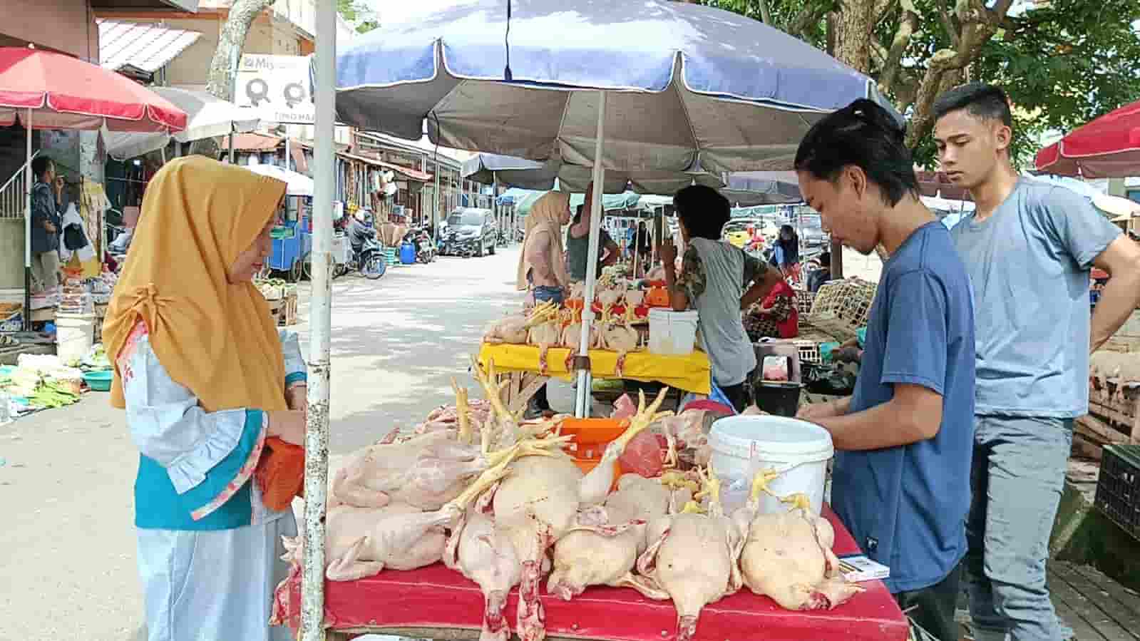 Harga Daging Ayam Putih di Kayuagung Naik 5 Ribu Perkilogram