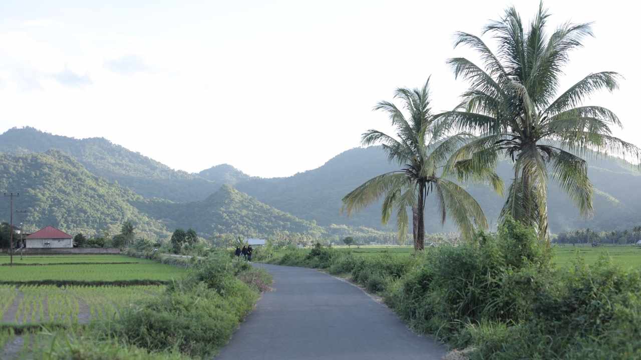 Berbasis Gotong Royong, Desa Manemeng Perkuat Ekosistem Ekonomi Kerakyatan melalui Program Desa BRILiaN