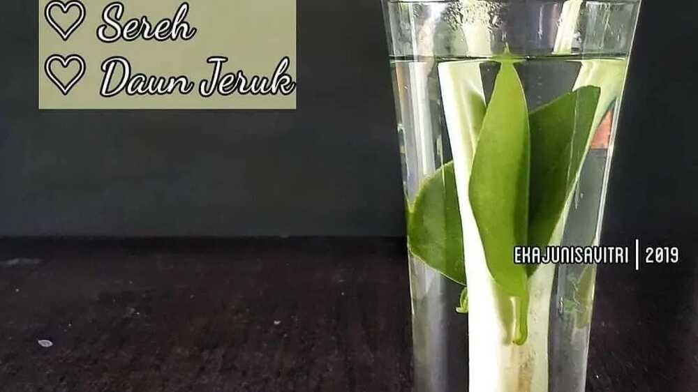 Infused Water Daun Jeruk: Cara Sempurna untuk Menyegarkan Tubuh Anda