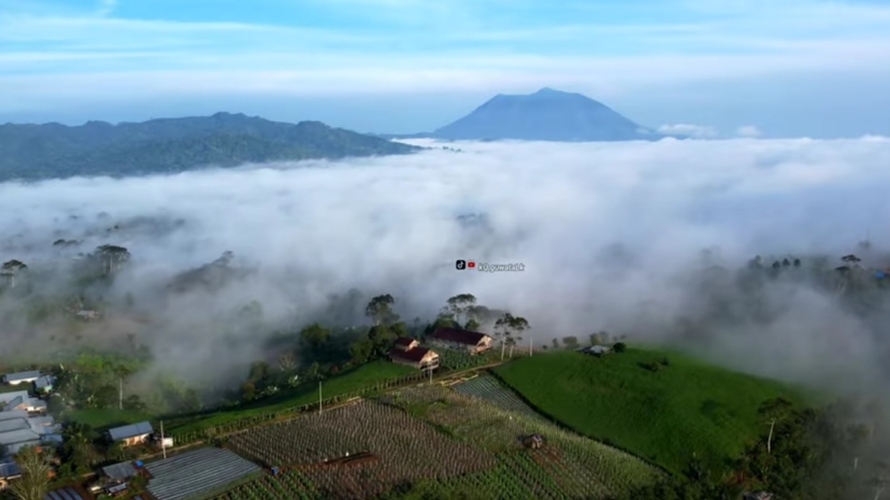 Suguhkan Pemandangan Embun di Pagi Hari: Bukit di Lampung Ini Selalu Berhasil Menarik Wisatawan!