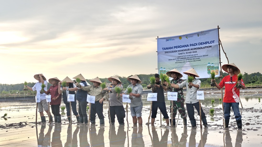 Pusri Dukung Asta Cita Swasembada Pangan di Bangka Selatan