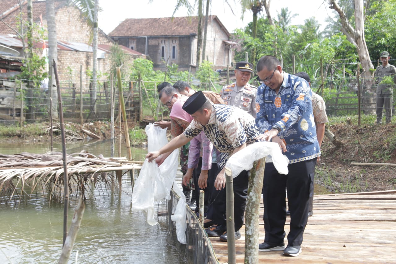 Bupati OKU Tebar 11 Ribu Benih Ikan Patin di Desa Bunga Tanjung