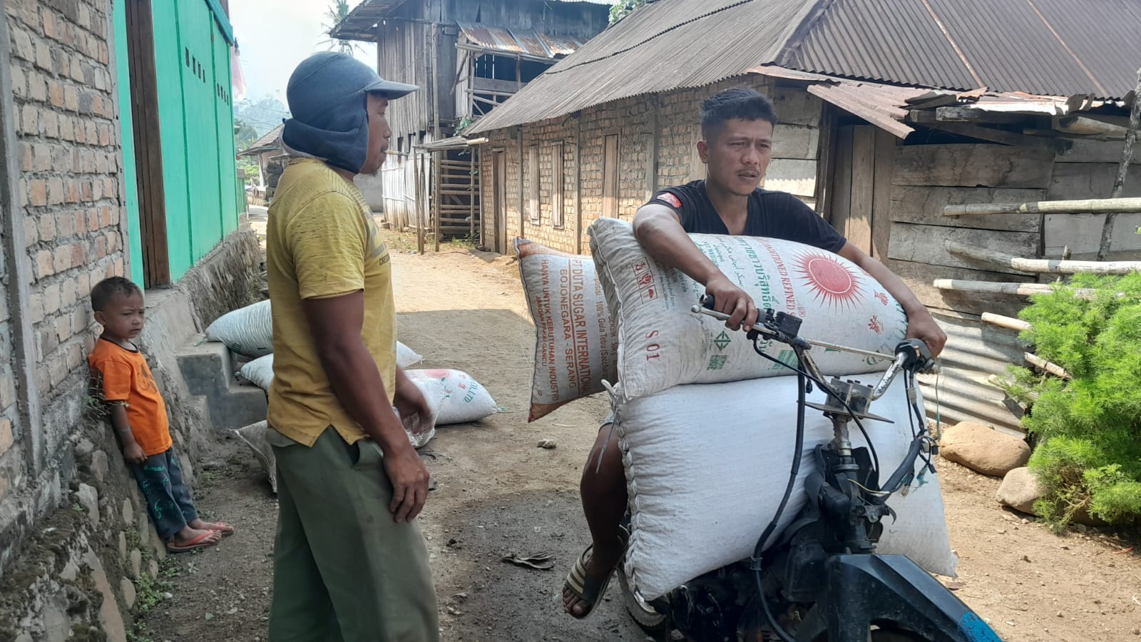 Harga Kopi Kembali Melonjak Tembus Rp60 Ribu Per Kilogram