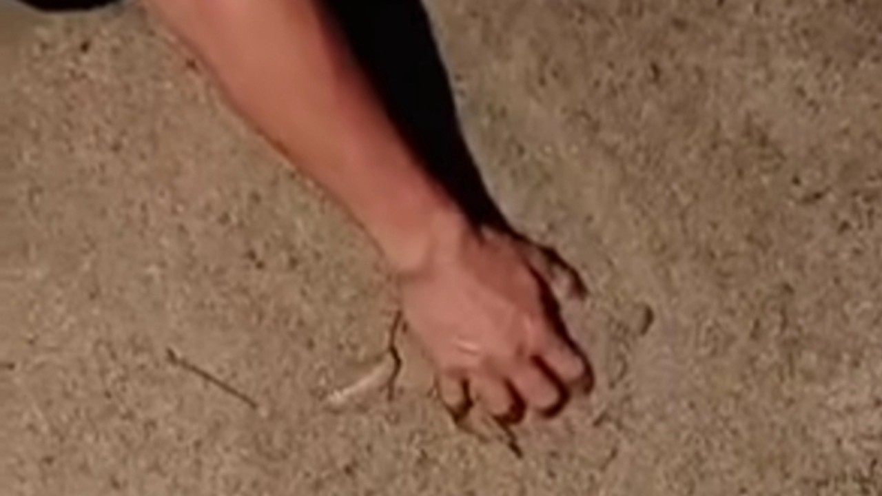 Pembangunan Jalan Lingkar Paya Agung Disoal