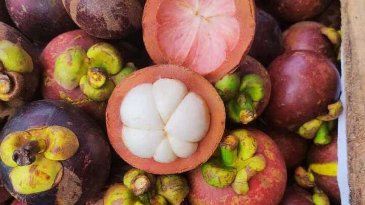 Manfaat Kesehatan Buah Manggis: Superfood dengan Segudang Khasiat