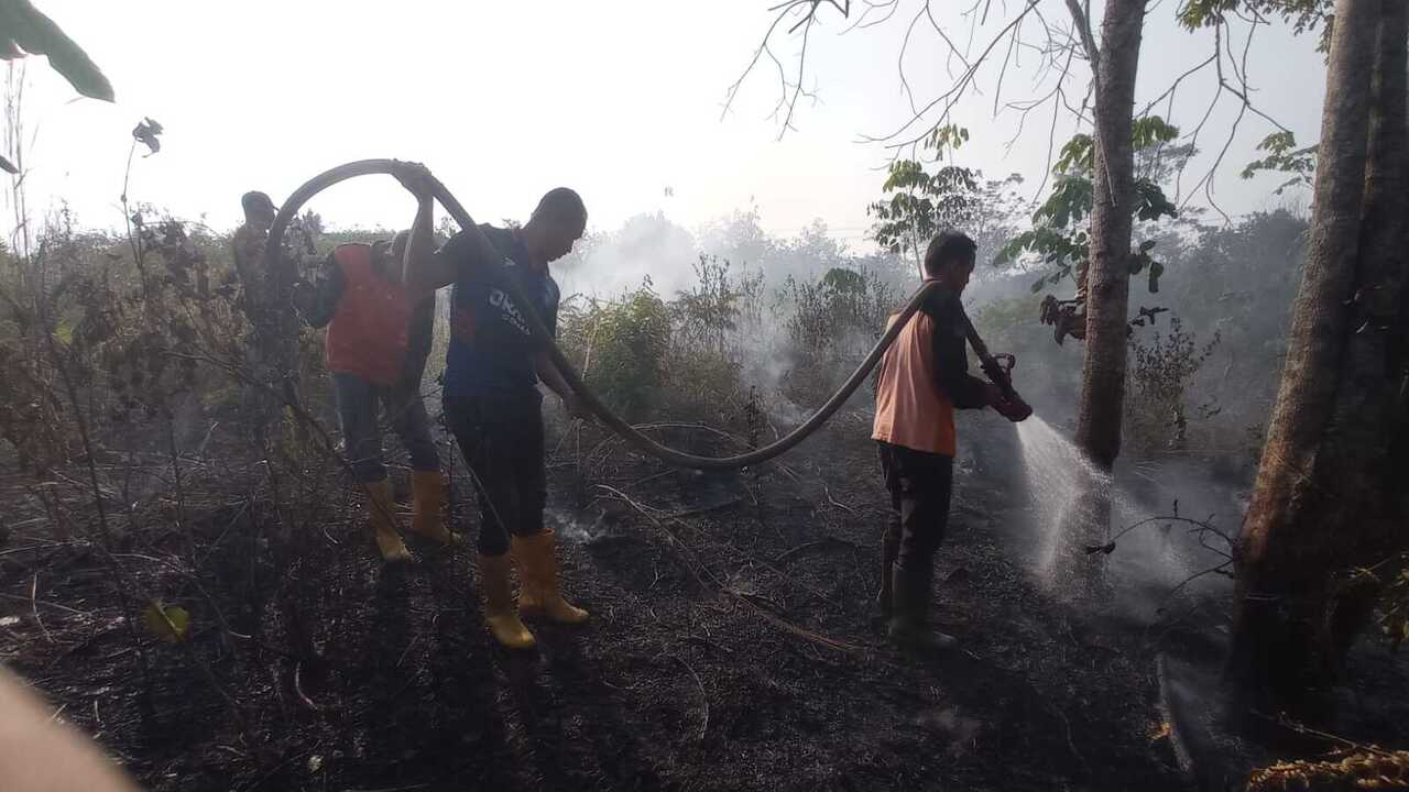 Empat Lokasi Karhutla di OKU, Tiga Titik Berhasil Dipadamkan