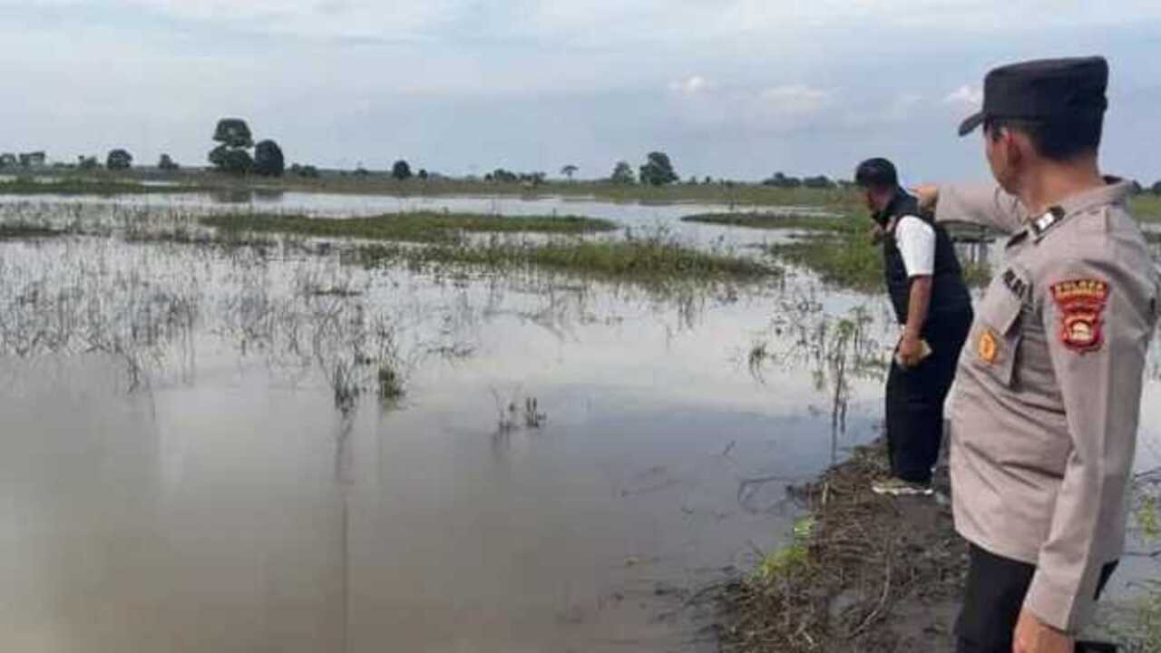 Heboh! Sesosok Mayat Perempuan Mengapung di Area Persawahan Masyarakat Penyandingan OKI
