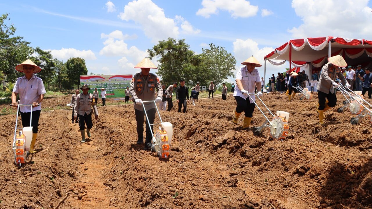 Tanam Jagung Serentak di Lahan 12,5 Hektare