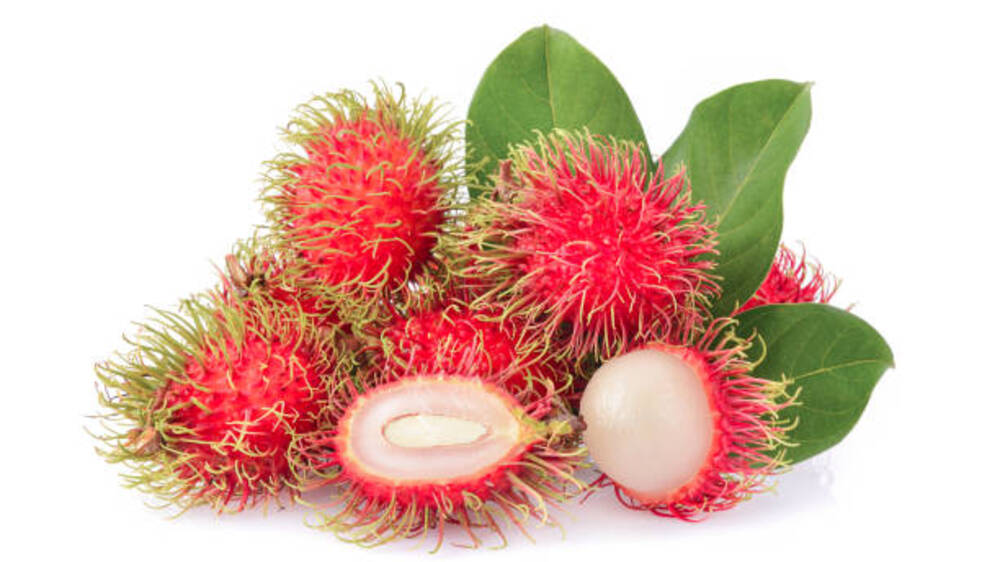 Keunikan Buah Nusantara : Menyelusuri Kelezatan Jenis-Jenis Rambutan di Indonesia