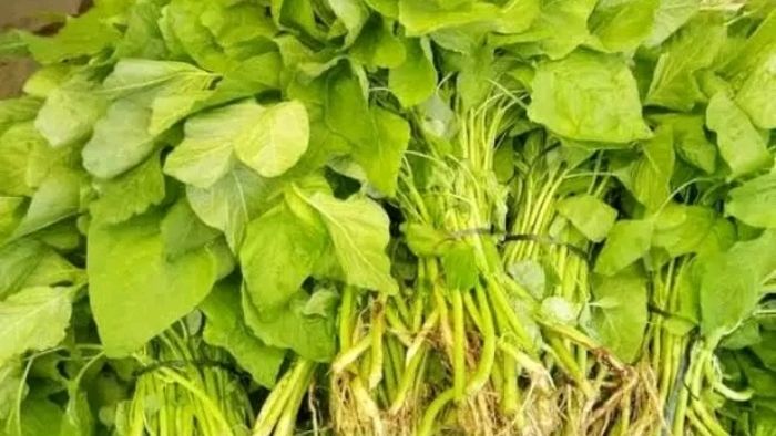 Kenali 19 Manfaat Konsumsi Sayur Bayam, Dari Kesehatan Hingga Kecantikan