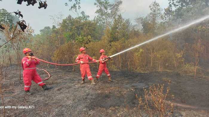 PHR Regional Sumatera Zona 4 Berhasil Padamkan 51 Titik Api Karhutla